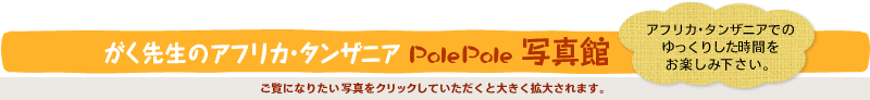 搶̃AtJE^UjA Pole Pole ʐ^