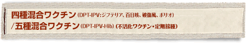 l퍬N`(DPT-IPV: WteAASPAjA|I)/܎퍬N`iDPT-IPV-Hibj
